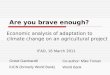 Are you brave enough? Economic evaluation of climate change adaptation projects