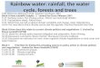 Rainbow water: rainfall, the water cycle, forests and trees