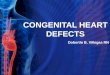 Congenital Heart Defects Ppt