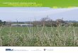 Western Port Green Wedge Management Plan - Discussion Paper- October 2011 v11Oct11