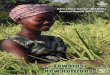AfricaRice Annual Report 2003-2004