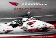 2012 Arizona Cardinals Media Guide
