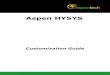 Aspen HYSYS - Customization Guide