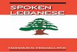 spken arabic from lebanon