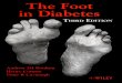 the foot in diabetes