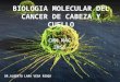 Biologia Cancer Cabeza y Cuello