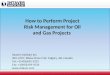 RiskyProject for Oil and Gas Industry