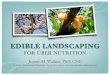 Edible Landscaping for Über Nutrition
