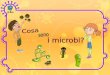 I microbi sono organismi viventi Sono così piccoli che per vederli è necessario usare il microscopio Hanno diverse forme e dimensioni Si trovano OVUNQUE!