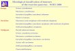 Histological classification of tumours of the exocrine pancreas - WHO 2000 BenignSerous cystadenoma Mucinous cystadenoma Intraductal papillary-mucinous