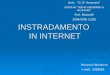 INSTRADAMENTO IN INTERNET Micolucci Marianna n.matr. 3028856 Univ. G. D Annunzio Corso di reti di calcolatori e sicurezza Prof. Bistarelli 2004/2005 CLEIS