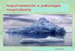 Inquinamento e patologie respiratorie Antonio Paddeu