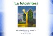 La fotosintesi Lic. classicoD.A. Azuni - Sassari Prof. Paolo Abis Prof. Paolo Abis