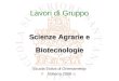 Lavori di Gruppo Scuola Estiva di Orientamento Volterra 2008 Scienze Agrarie e Biotecnologie