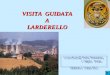 VISITA GUIDATA A LARDERELLO a cura dei proff. Paola Tramontano e Angelo Traina (edizione 2 - classe 10C)