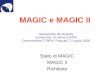 MAGIC e MAGIC II Stato di MAGIC MAGIC II Richieste Alessandro De Angelis Universita di Udine e INFN Commissione 2 INFN, Frascati, 5 Luglio 2005