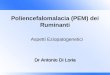 Dr Antonio Di Loria Poliencefalomalacia (PEM) dei Ruminanti Aspetti Eziopatogenetici