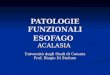 PATOLOGIE FUNZIONALI ESOFAGO ACALASIA Università degli Studi di Catania Prof. Biagio Di Stefano