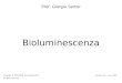 Bioluminescenza Prof. Giorgio Sartor Copyright © 2001-2009 by Giorgio Sartor. All rights reserved. Versione 0.2 – may 2009