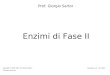 Enzimi di Fase II Prof. Giorgio Sartor Copyright © 2001-2007 by Giorgio Sartor. All rights reserved. Versione 3.3 - oct 2007