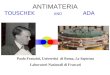 Paolo Franzini, Università di Roma, La Sapienza Laboratori Nazionali di Frascati ANTIMATERIA TOUSCHEK AND ADA