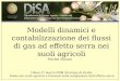 Modelli dinamici e contabilizzazione dei flussi di gas ad effetto serra nei suoli agricoli Udine 27 marzo 2008 Giornata di studio Ruolo dei suoli agricoli