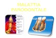 MALATTIA PARODONTALE. Patologia infiammatoria delle strutture anatomiche di sostegno del dente gengiva legamento parodontale osso alveolare cemento radicolare