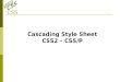 CSS Cascading Style Sheet CSS2 – CSS/P. The goal: see this site 