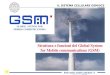 1 1 Reti radio mobili cellulari: il sistema GSM IL SISTEMA CELLULARE GSM/DCS 1800 Struttura e funzioni del Global System for Mobile communications (GSM)