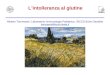 Lintolleranza al glutine Alberto Tommasini, Laboratorio Immunologia Pediatrica, IRCCS Burlo Garofolo tommasini@burlo.trieste.it