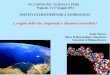69° CONVEGNO "SCIENZA E FEDE" Fognano, 25-27 maggio 2012 PIANETI EXTRATERRESTRI E ESOBIOLOGIA L'origine della vita: singolarità o dinamica inesorabile?