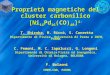 Proprietà magnetiche del cluster carbonilico [Ni 16 Pd 16 (CO) 40 ] 4- T. Shiroka, M. Riccò, S. Carretta Dipartimento di Fisica, Università di Parma e