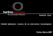 TORINO WIRELESS: storia di un Distretto Tecnologico Rodolfo Zich Torino, Marzo 2007