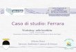 Caso di studio: Ferrara Workshop sulle bonifiche Napoli, 20 ottobre 2004 Dipartimento di Scienze Fisiche, Complesso Universitario di Monte SantAngelo Centro