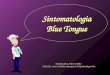 Sintomatologia Blue Tongue Annalisa Santi, Marco Tamba - IZSLER - Centro Emiliano Romagnolo di Epidemiologia Vet