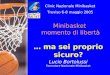 … ma sei proprio sicuro? Clinic Nazionale Minibasket Treviso 6-8 maggio 2005 Minibasket momento di libertà Lucio Bortolussi Formatore Nazionale Minibasket