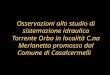 Osservazioni allo studio di sistemazione idraulica Torrente Orba in località C.na Merlanetta promosso dal Comune di Casalcermelli