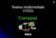 Tesina multimediale Cantini Andrea A.S. 2005/2006 indice Compost