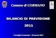 BILANCIO DI PREVISIONE 2011 Comune di CORMANO Consiglio Comunale – 29 marzo 2011