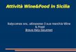 Attività Wine&Food in Sicilia Italycomex snc, attraverso il suo marchio Wine & Food Bravo Italy Gourmet