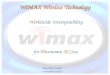 WiMAX Wireless Technology Worldwide Interoperability Donatella Ermini ermini@di.unipi.it for Microwave ACCess