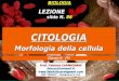 BIOLOGIA LEZIONE N.4 slide N. 86 CITOLOGIA Morfologia della cellula Classe II ITI Prof. Fabrizio CARMIGNANI fabcar@hotmail.it