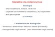 Malattie da Adenovirus Etiologia - DNA bicatenario, lineare, 70-80 nm - Capside con simmetria icosaedrica, 252 capsomeri - Non pericapside 41 sierotipi