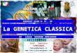 Slide N. 54 La GENETICA CLASSICA BIOLOGIA Prof. Fabrizio CARMIGNANI fabcar@hotmail.it  IISS Mattei – Rosignano S. (LI) LEZIONE