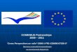 COMENIUS Partnerships 2009 – 2011Cross Perspectives on exile-2009-1-FR1-COM06-07236-3  ww.comeniusonexile.blogspot.com