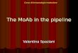 The MoAb in the pipeline Valentina Spaziani Corso di Immunologia molecolare