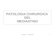 PATOLOGIA CHIRURGICA DEL MEDIASTINO 1Chirurgia - 11 - Mediastino