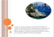 Capri è un'isola italiana nel Golfo di Napoli. Si tratta di 10,4 km2 ed è conosciuta per le grotte nel mare. La più conosciuta è la Grotta Azzurra. Il