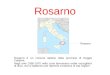 Rosarno Rosarno è un comune italiano della provincia di Reggio Calabria. Negli anni 1950-1970 nella zona lavoravano molte raccoglitrici di olive, che si
