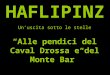 HAFLIPINZ Unuscita sotto le stelle Alle pendici del Caval Drossa e del Monte Bar Venerdì 25 ottobre 2013